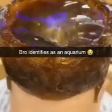 When you identify a a fishbowl