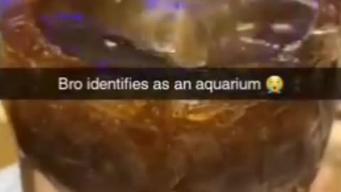 When you identify a a fishbowl