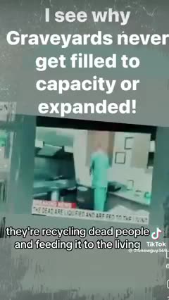 THE DECEASED IN EVERYTHING