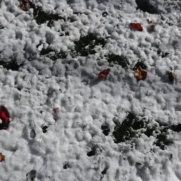 Santa is coming this Christmas!!!