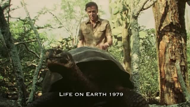 Charles Darwin's Galapagos Discovery | #Attenborough90 | BBC Earth