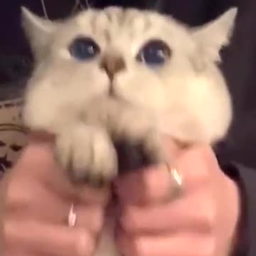 Do you wanna dance with me ?? 🤣🤣🤣