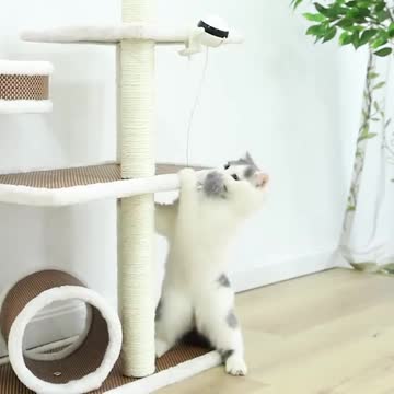 Lifting Ball Electric Cat Toy