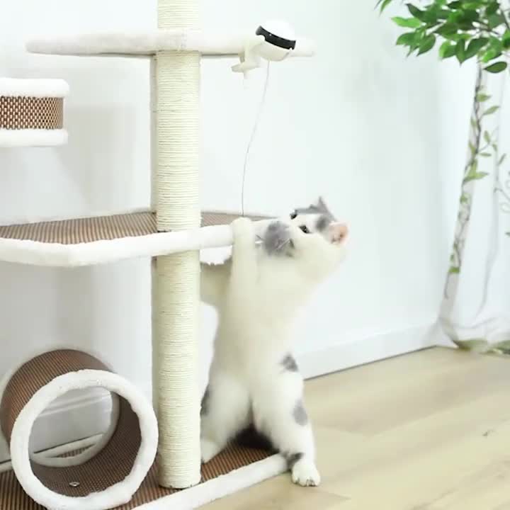 Lifting Ball Electric Cat Toy