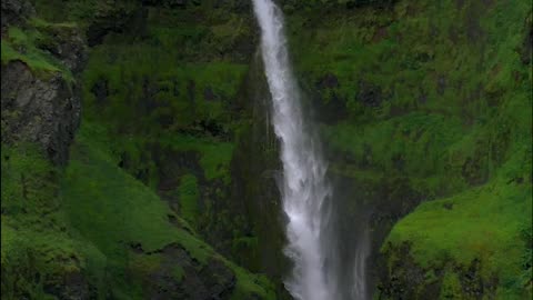 beautiful view of waterfall with greenly #shorts