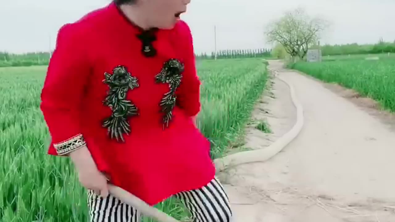 Best Funny Videos 2023, Chinese Funny clips daily