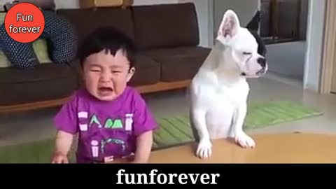 Watch Most funny DOG AND KIDS Videos