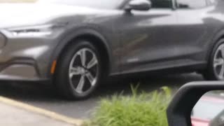 Mustang Mach E by Jack the Irish wolfhound