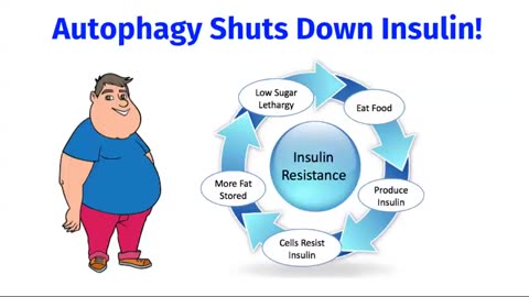 A Doctors Guide to AUTOPHAGY and FASTING! Lose weight reduce inflammation and live longer.mp4