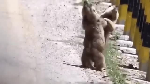 It's just a masterpiece