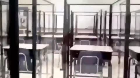 Teacher Records Her Elementary School Classroom With Desks Surrounded By Cage-Like Plexiglass Setups