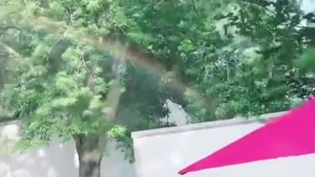 Mini rainbow and pot of gold