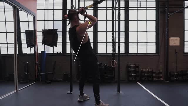 TRX Bicep Curl Exercise Tutorial