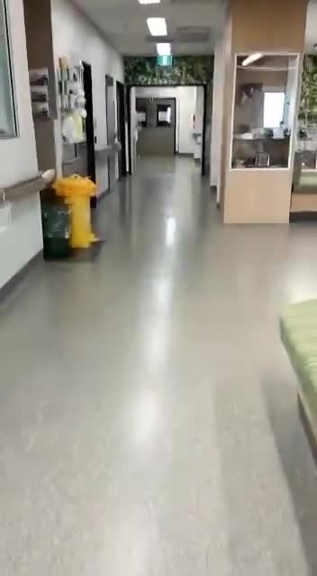 Covid Wards Empty in Big Cities with No one in them