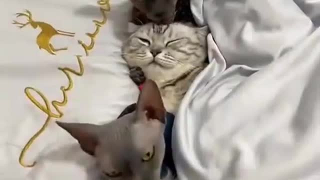 Cute Moments 🥰
