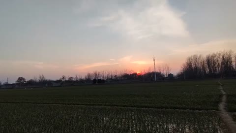 So quietly watching the sunset!