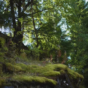 Amazing looking waterfall