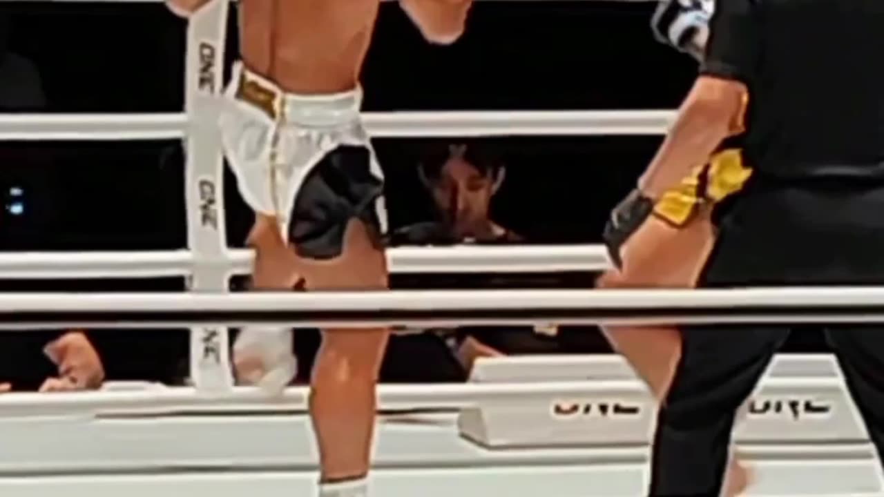 Fighter fall over after kick to the stomach