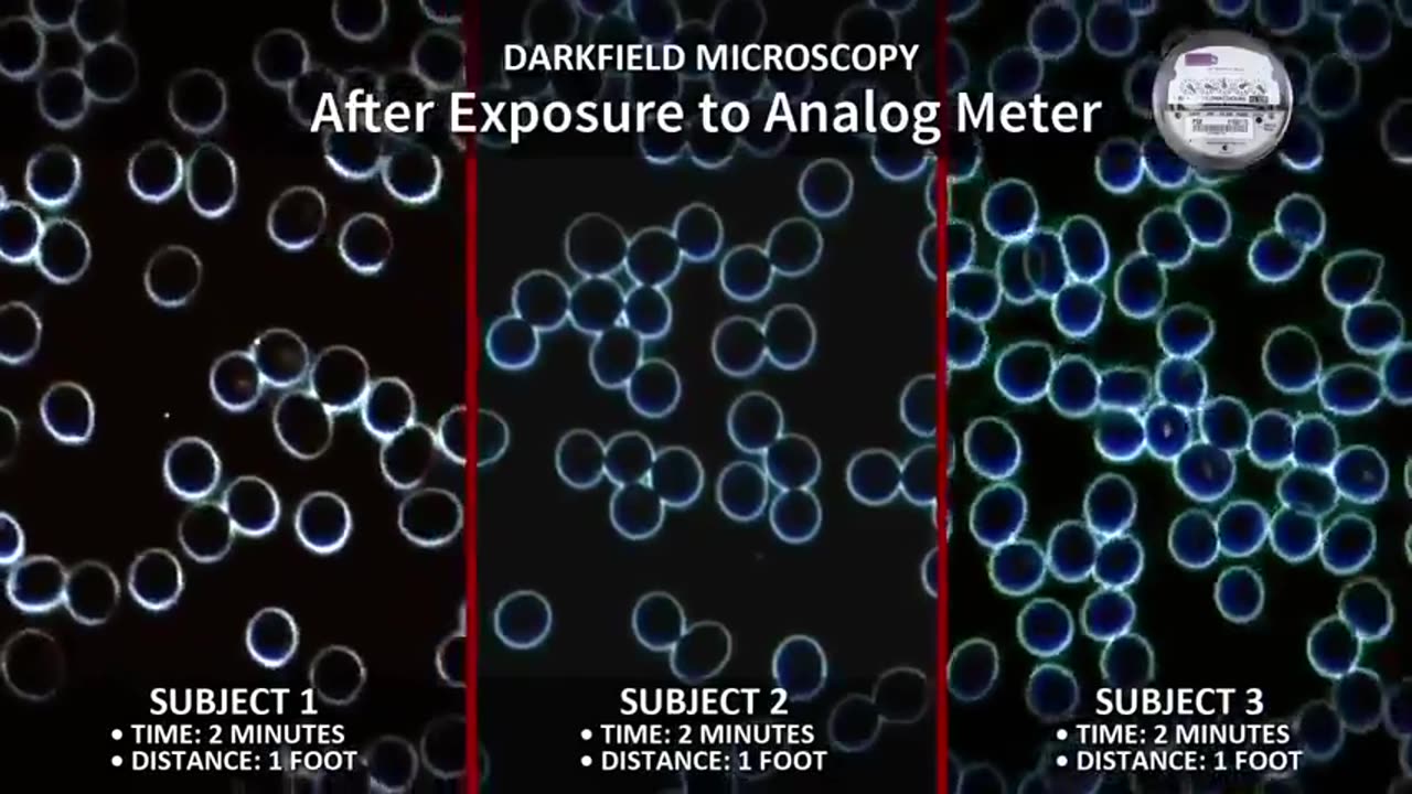 Take Back Your Power - Smart Meter Documentary
