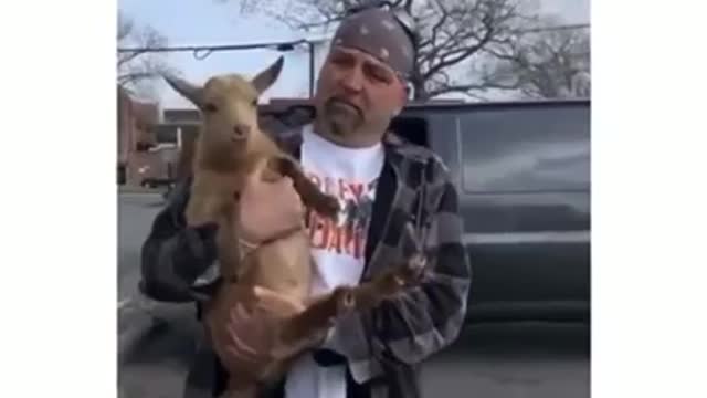 Man Shows Off his Baby Goat