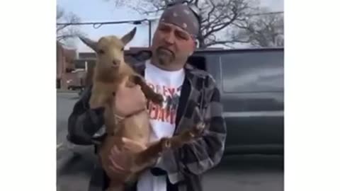 Man Shows Off his Baby Goat