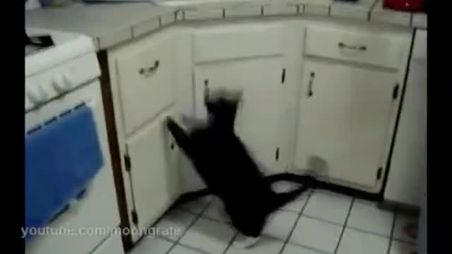 Kotyara got heavy for jumping