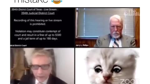 Lawyer Zoom Meeting