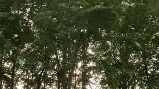 A Coming Storm