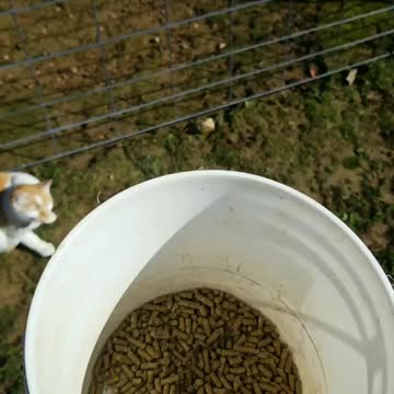 "Bucket Broke"=This.