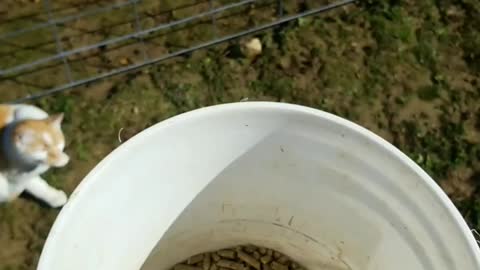"Bucket Broke"=This.