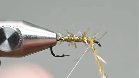 This is a beautiful and charming water-dwelling species