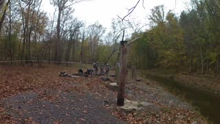 2017 Ranger Challenge Rope Bridge Rescue Texas A&M