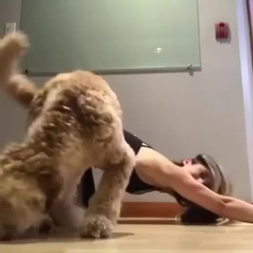 Better to start your day with some stretches like this