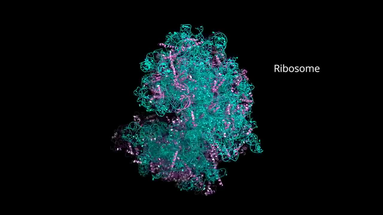 What Happens If You Get Coronavirus