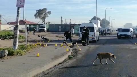 Four killed, 5 wounded in Cape taxi violence