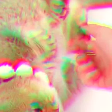 Violent attacks from short legs