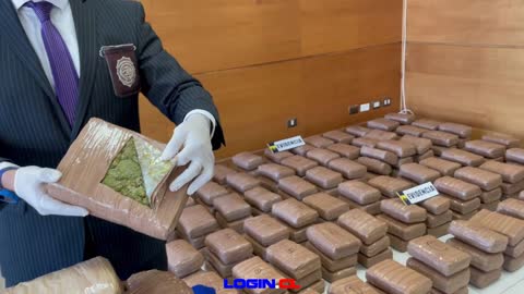 PDI San Antonio frustra internación de contenedor con 900kg de cannabis