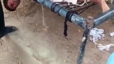 Pakistani psycho