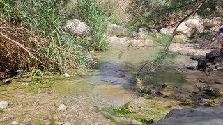 Desert and Water in deepest location in the world