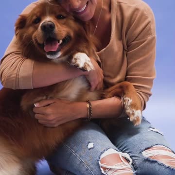 Lovely my doggy. I love my personal dog. My best friend. Dog name imasa