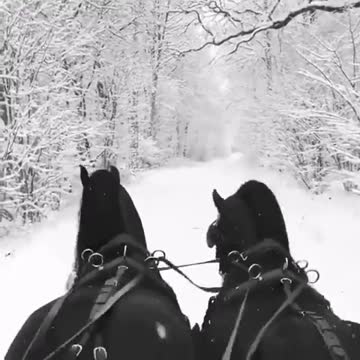 Winter, pleasant atmosphere