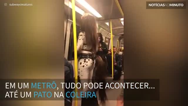 Mulher fantasiada de cavalo rouba a cena em viagem