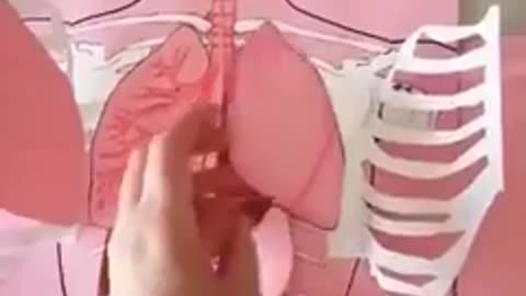 It is an internal texture of man and women