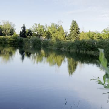 A charming view of the lake in Randall Park