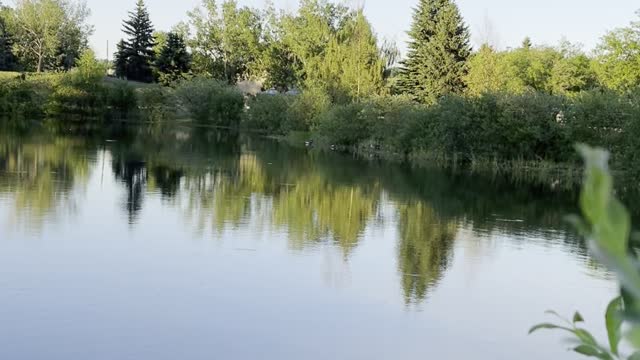 A charming view of the lake in Randall Park