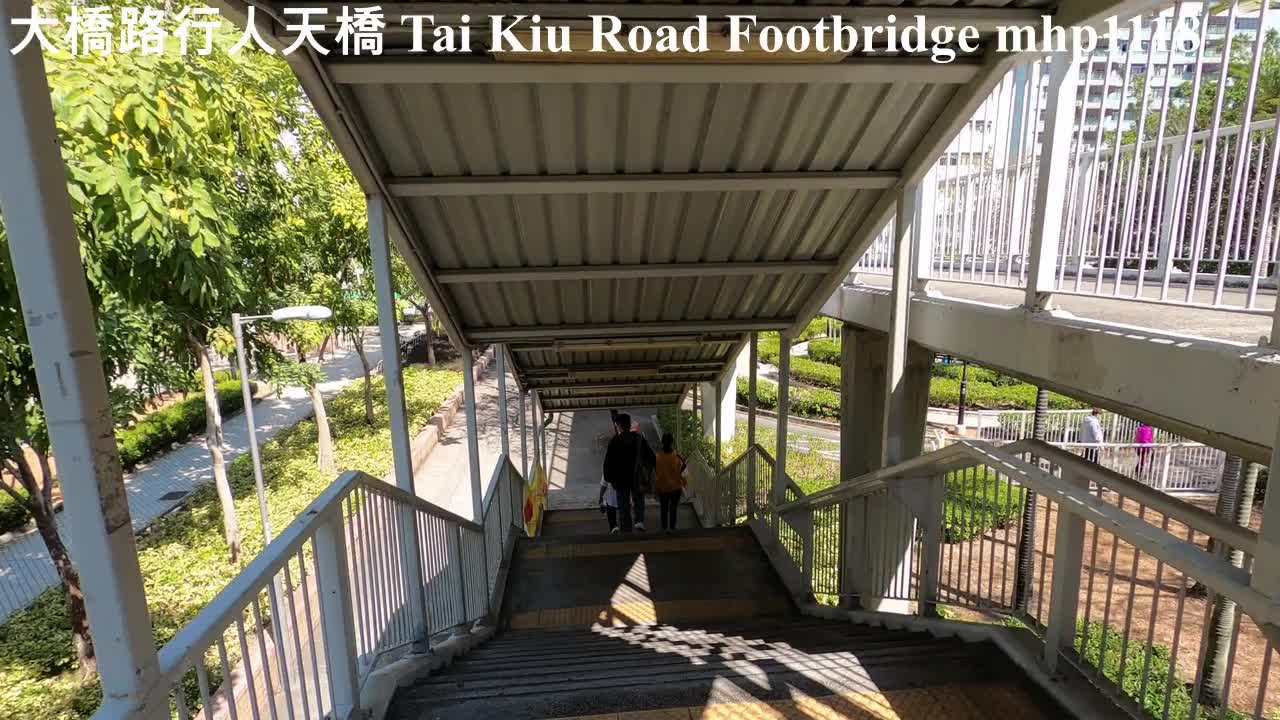 大橋路行人天橋 Tai Kiu Road Footbridge, mhp1118, Feb 2021