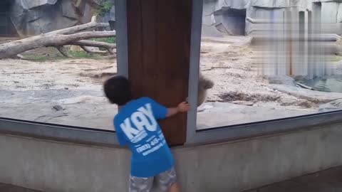 FORGET CATS! Funny KIDS vs ZOO ANIMALS are WAY FUNNIER! - TRY NOT TO LAUGH ll PART~2