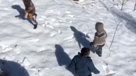 Must watch (Beautiful kids enjoying snowfall)