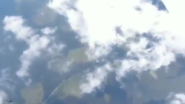 Skydiving on a Beautiful Summer Day