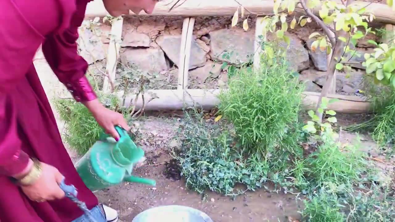 Simple girl village life, daily Routeen work, afghan girl, viral video,